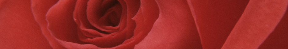 red.jpg